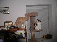 Click to enter gallery